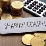 Shariah Funds and Shariah Investment in India: An Overview